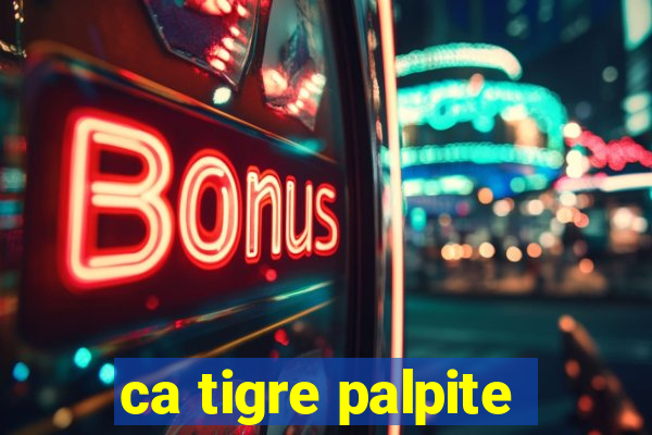 ca tigre palpite